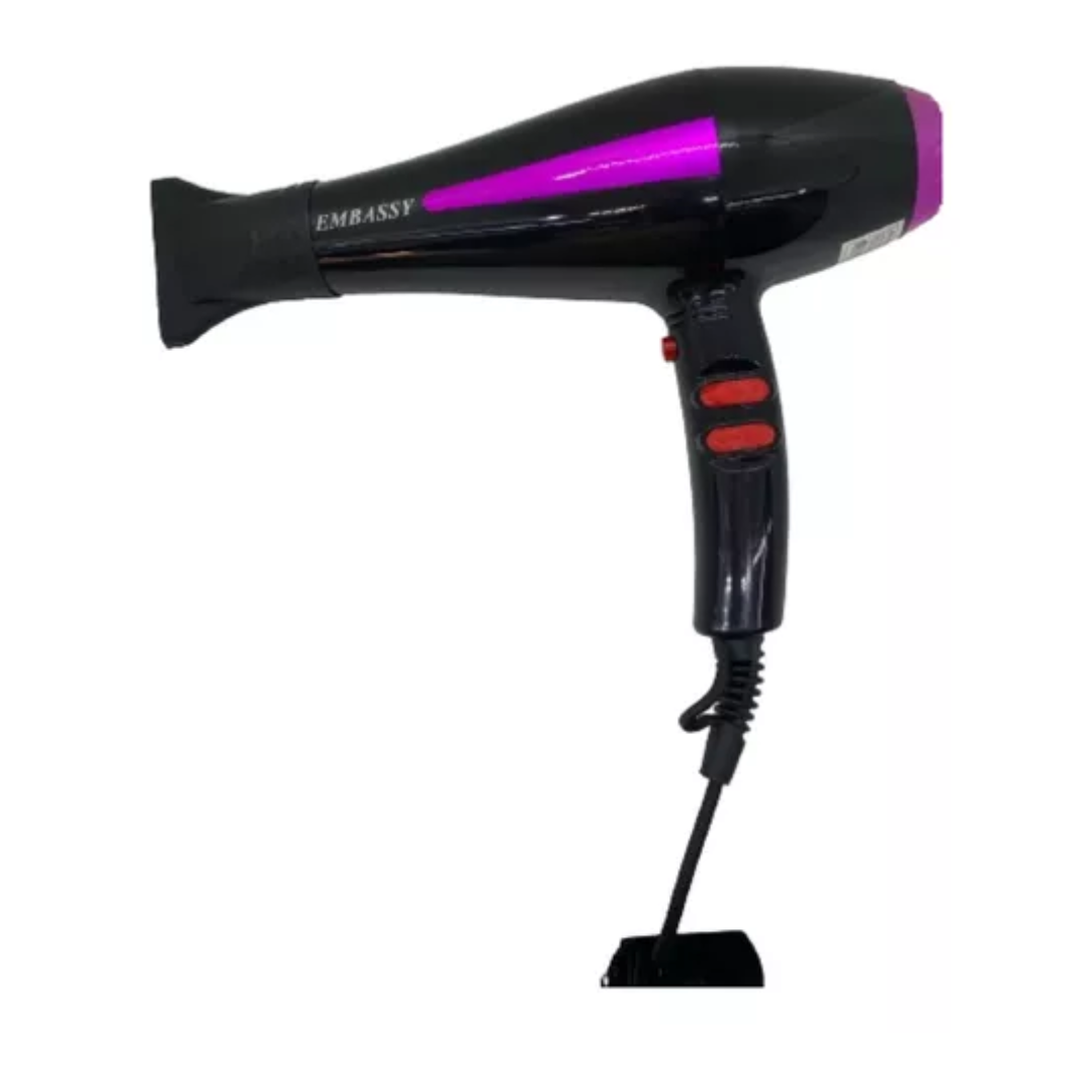 Secador de pelo profesional Embassy 2000w. gtia 6m.